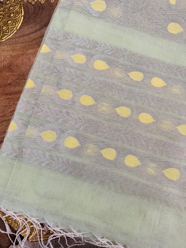 ShopNaya Exclusive | Handwoven | Silk Organza | Pastel Green | Silver Zari | Ships from California